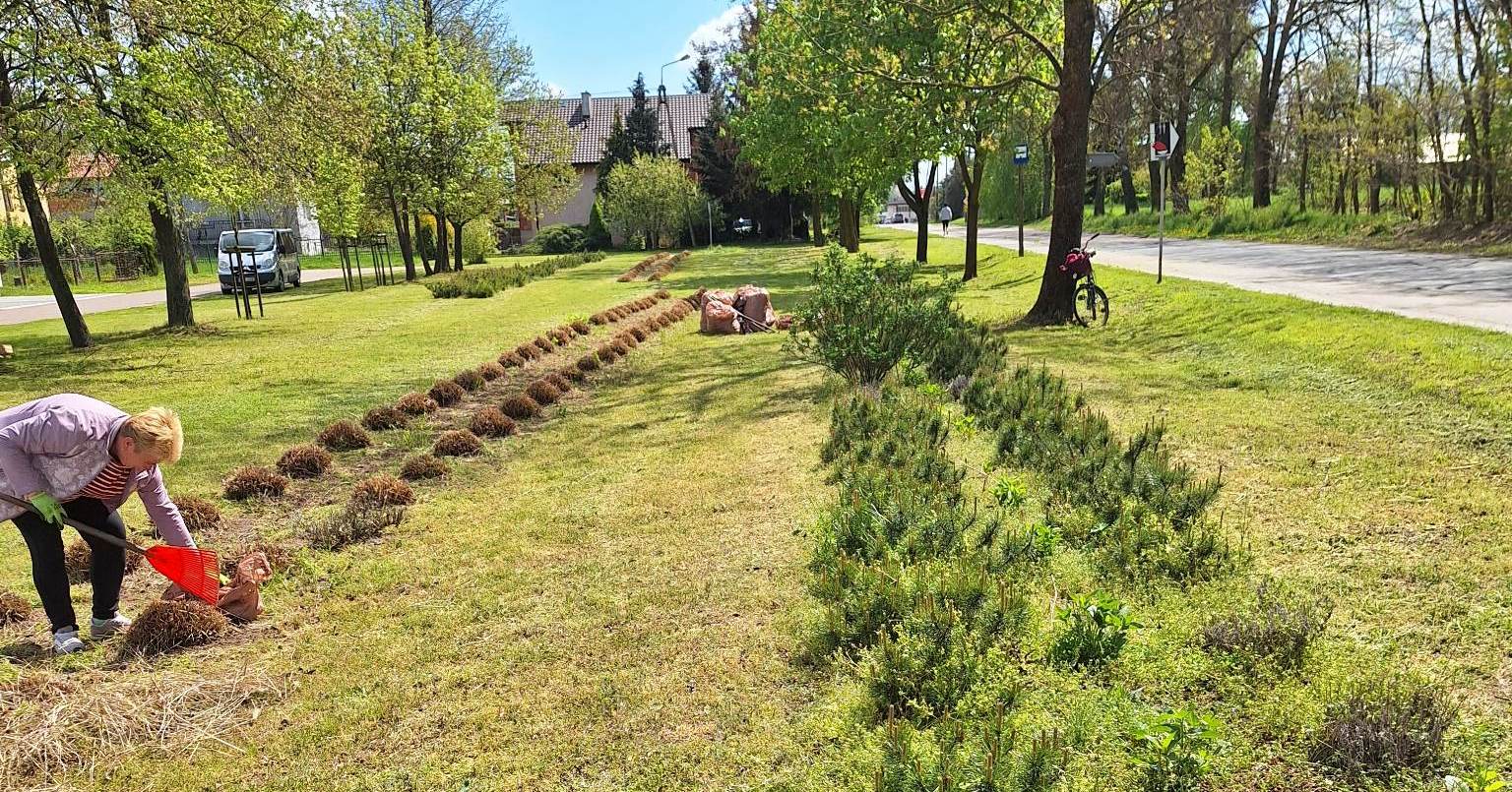 Wiosenne porządki [ZDJĘCIA]