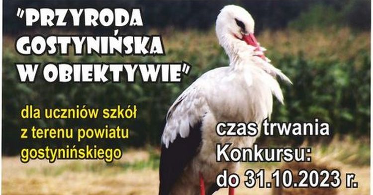 Xii edycja powiatowego konkursu fotograficznego - Przyroda Gostynińska w Obiektywie