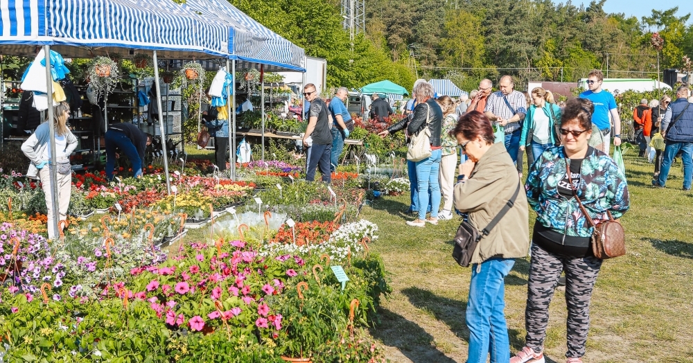 XXXI Giełda Rolnicza w Łącku [ZDJĘCIA]