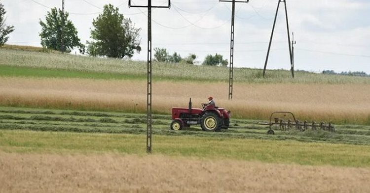 Zachowaj ostrożność podczas prac polowych