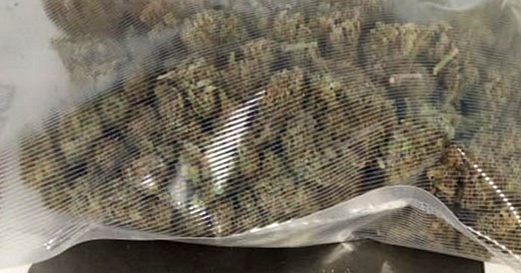 Dzięki policjantom ponad 1,6 kg narkotyków nie trafi na rynek