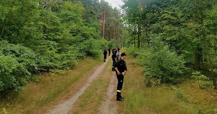 W lesie w Brudzeniu Dużym znaleziono zwłoki. To prawdopodobnie zaginiony 44-latek