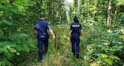 Wybierasz Się Na Grzyby? ...