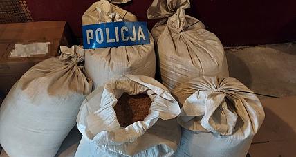 Przewoził 140 Kg Krajanki ...