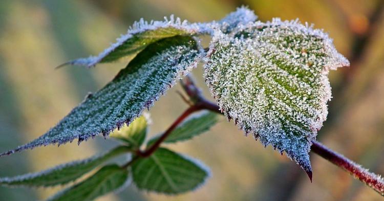 Nocne mrozy i dzienne chłody. Weekendowa prognoza pogody dla Gostynina