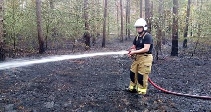 Wysokie Temperatury I Brak...