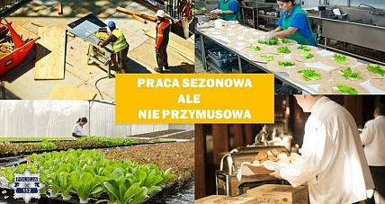 Praca Sezonowa, Ale Nie Przymusowa