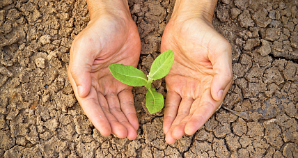 Susza ? Narastający Problem. S...