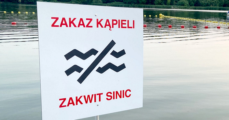 Zakaz kąpieli w Grabinie. Sinice zagrażają bezpieczeństwu plażowiczów