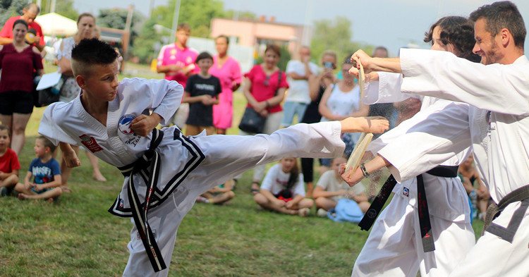 Festyn Rodzinny zwieńczył Dni Gostynina [ZDJĘCIA]