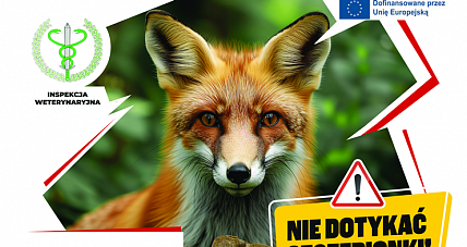 Jesienne Szczepienie Lisów ...