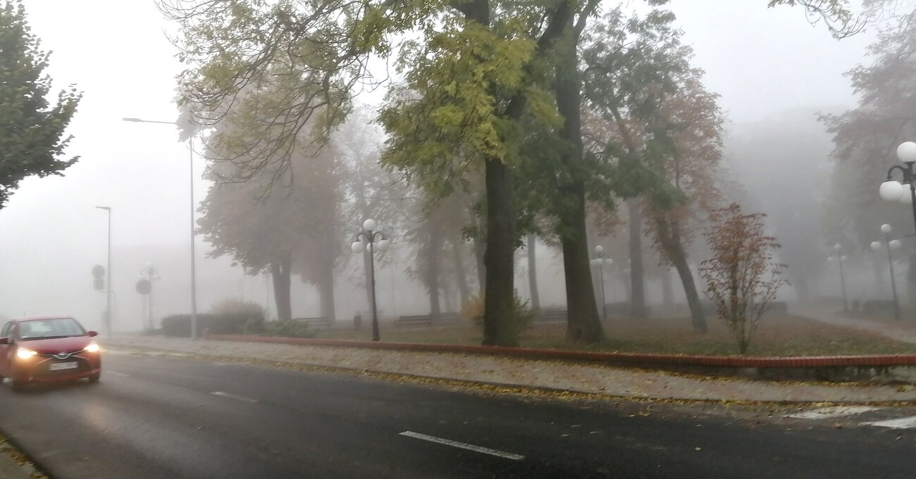 Gęste mgły i szadź nad Gostyninem - ostrożnie na drogach!