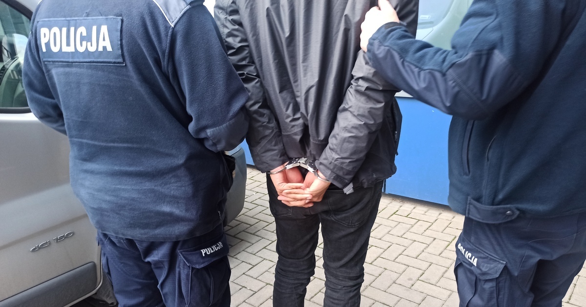 Marihuana, biały proszek i alkohol – szczegóły nocnej interwencji policji w Płocku