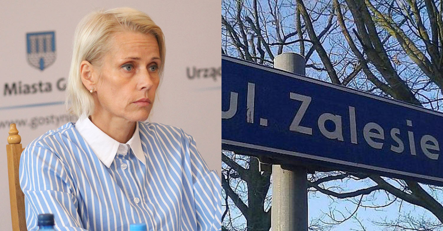 Wodociąg dla Zalesia i Kolonii. Inwestycja w planach na 2025 rok [VIDEO]