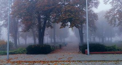 Przed Nami Mglista Noc