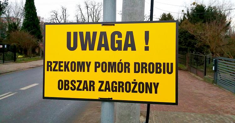 Uwaga! Nowe obostrzenia w związku z rzekomym pomorem drobiu
