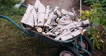 Dzielnicowi Zatrzymali Złodziei ...