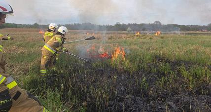 świąteczne Podpalenia W P...