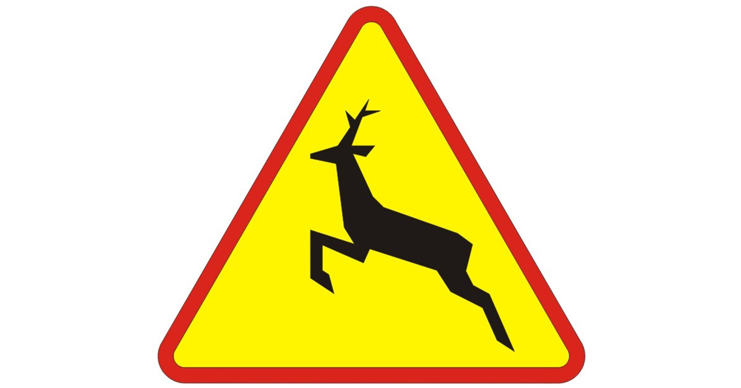 Uwaga na dzikie zwierzęta na drogach!