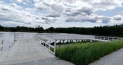 Zakończenie Bioremediacji ...