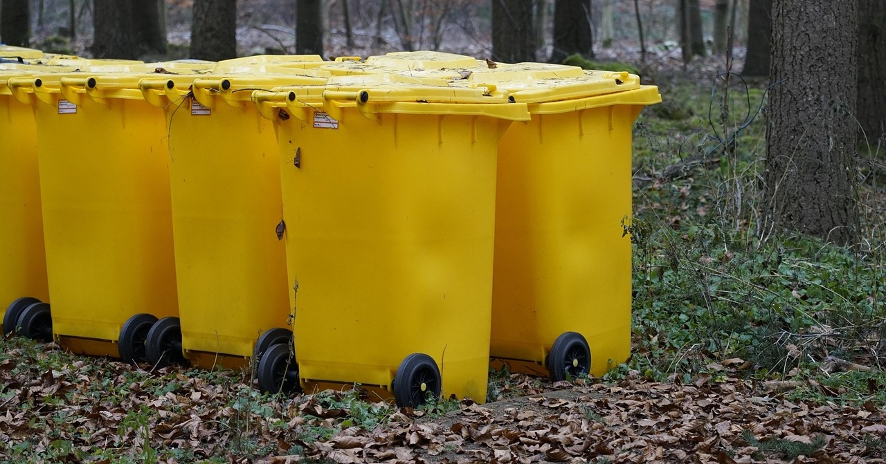 Lasy Państwowe wywiozły w zeszłym roku z lasów 820 tirów śmieci. Kosztowało to 34 mln zł