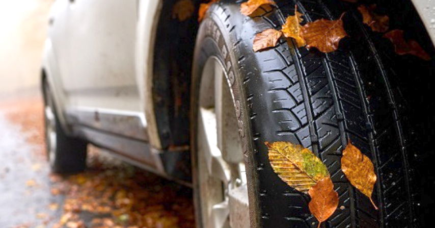 Jesień na gostynińskich drogach: jak uniknąć niebezpieczeństw?