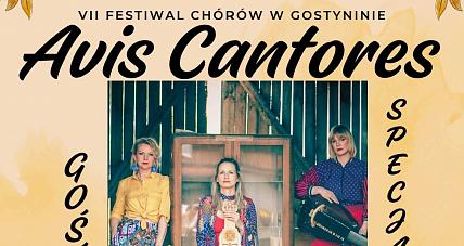 Już W Sobotę Vii Festiwal C...