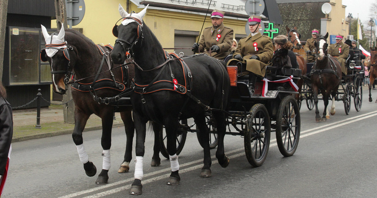 Obchody Święta Niepodległości w Gostyninie. Burmistrz: "Łączy nas miłość do Ojczyzny" [ZDJĘCIA]