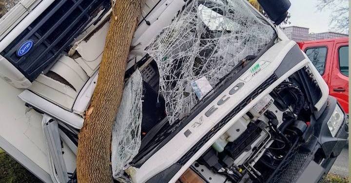 W Łącku samochód ciężarowy zjechał z drogi i uderzył w drzewo [ZDJĘCIA]