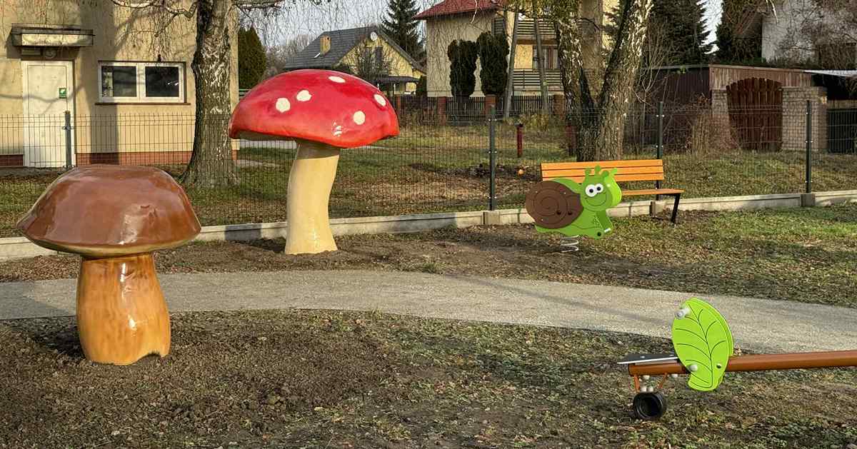 Park grzybów w Gostyninie [ZDJĘCIA]