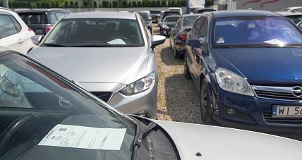 Pijani Kierowcy Dosłownie ...