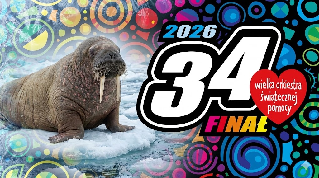 Lodowata kąpiel z gorącym sercem. Morsi finał WOŚP w Gorzewie