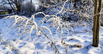 Nadchodzi Fala Arktycznego...