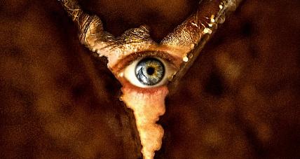 Filmowy Luty W Gostyninie!...