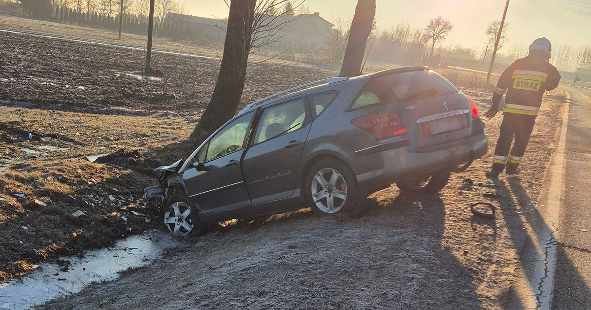 Kolizja w miejscowości Brzezia. 26-latek ukarany mandatem [ZDJĘCIA]