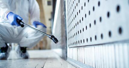 Dezynfekcja Pluskiew: Poradnik...