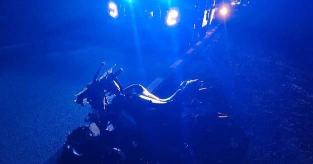 Tragedia na DK 62. Motocyklistka nie miała szans w starciu z łosiem [ZDJĘCIA]