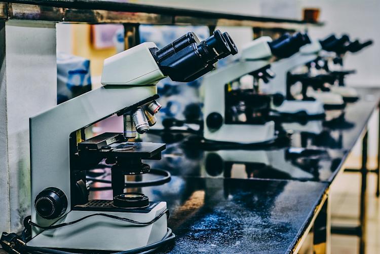 Jak skutecznie uczyć się biologii? Zbiory Witowskiego w przygotowaniu do matury