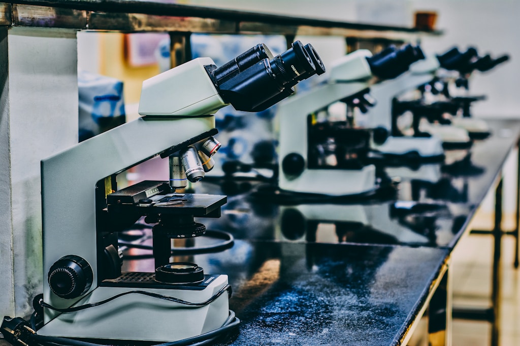 Jak skutecznie uczyć się biologii? Zbiory Witowskiego w przygotowaniu do matury