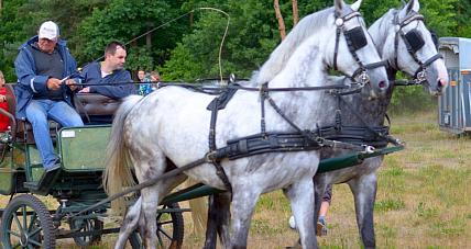3. Obchody Dnia Rodziny Zastępczej