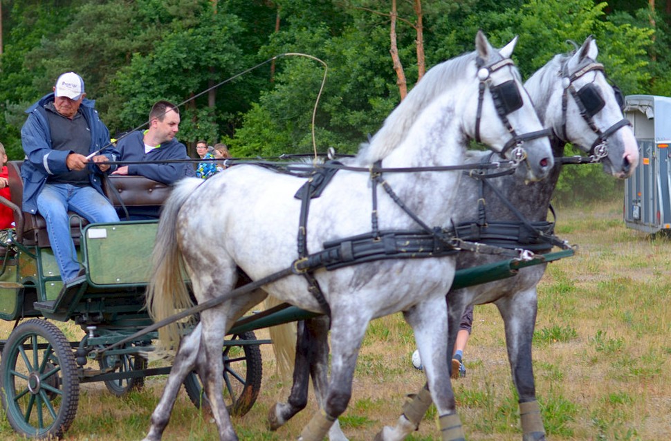 3. obchody Dnia Rodziny Zastępczej