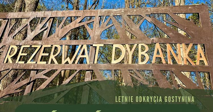 Letnie Odkrycia Gostynina....