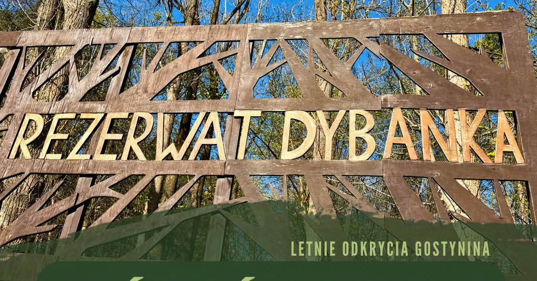 Letnie Odkrycia Gostynina....