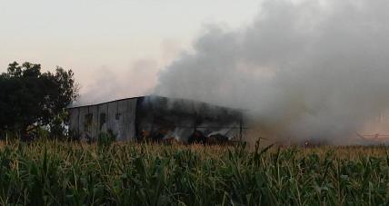 W Leśniewicach 25 Zastępów St...