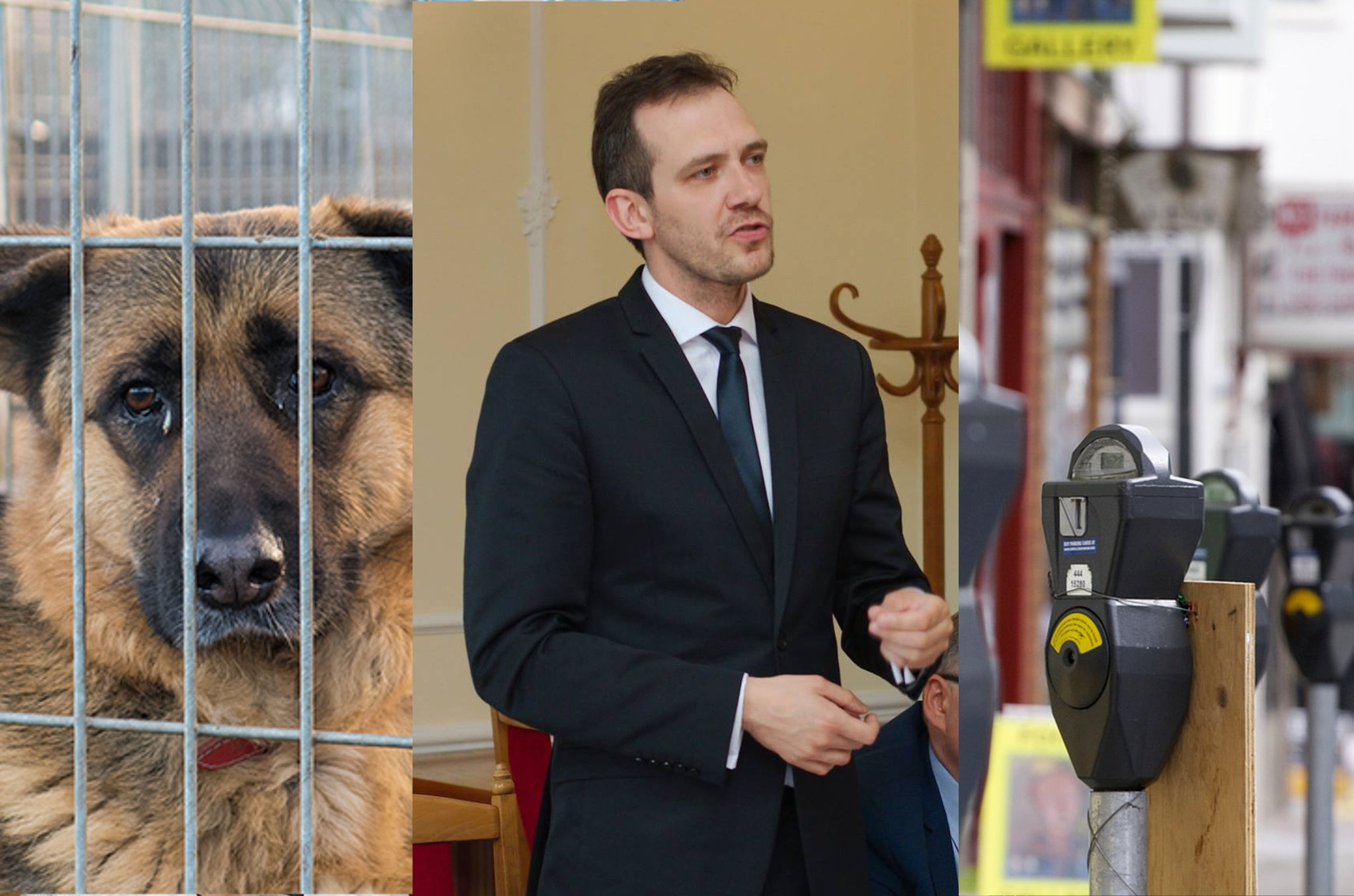 Burmistrz w ogniu krytyki