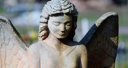 Zaproszenie Na Zaduszkową ...