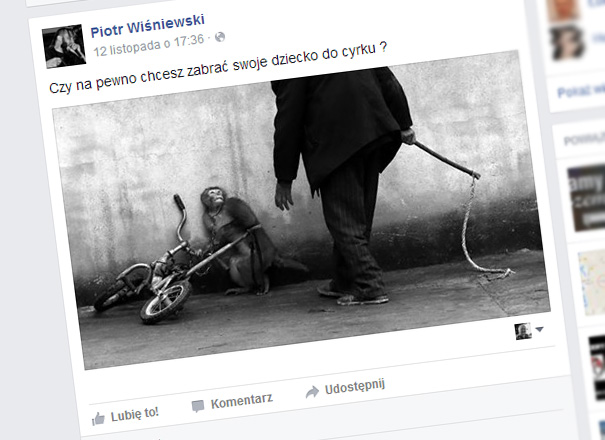 Mieszkańcy Gostynina nie chcą już cyrków w mieście