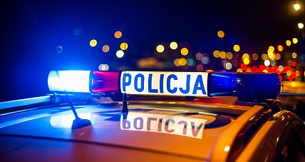 Lisica: Furgon Wjechał Do ...