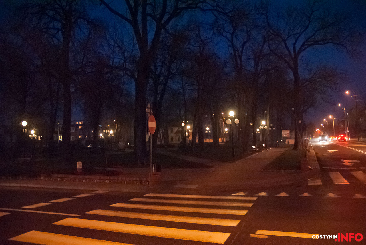 Burmistrz nie chce ptaków w parku - chce wydać 40 tys. zł na ich przepędzenie