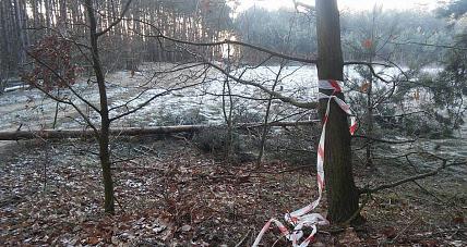 Gmina Gostynin Rekultywowała ...